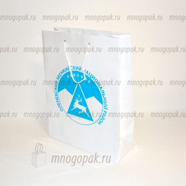 Белый бумажный пакет с логотипом